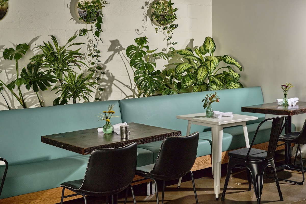 Donna Jean Sherman Oaks – Vegan Comfort Food In Studio City